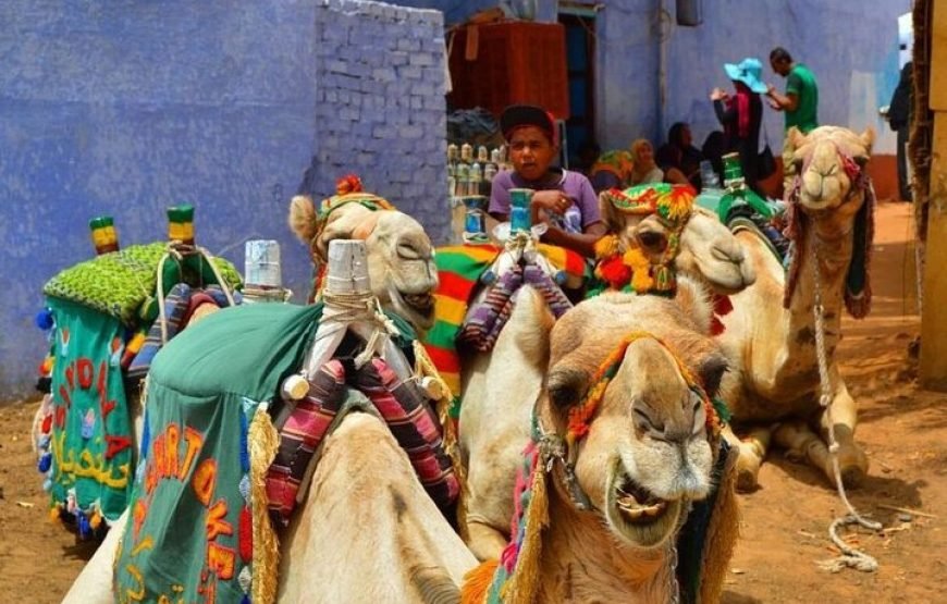 Day Trip to Nubian Village with Camel Tour from Aswan